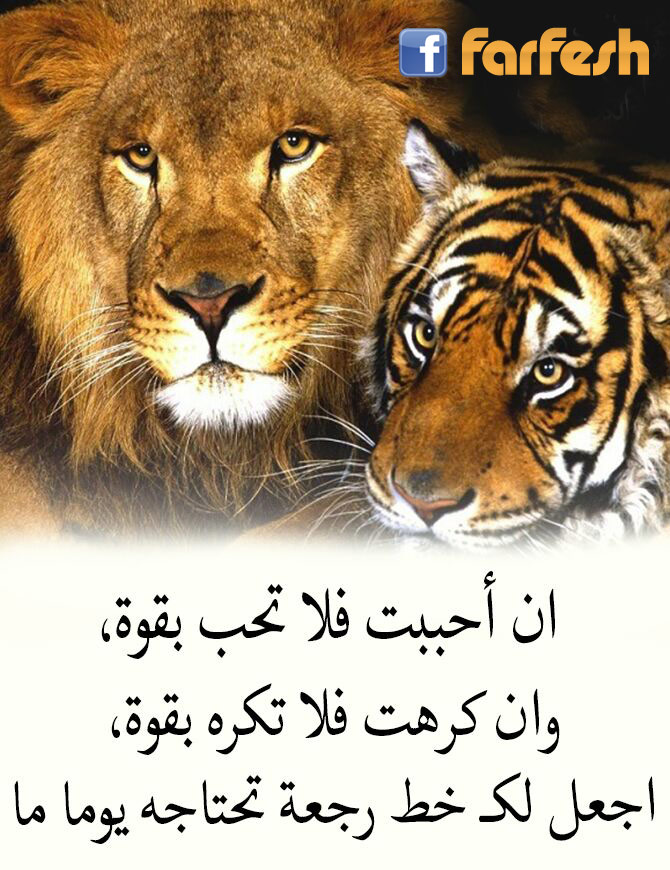 ���� ��� �� ���� ������ ���� ��