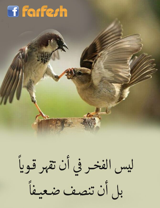 ��� ����� �� �� ���� �����