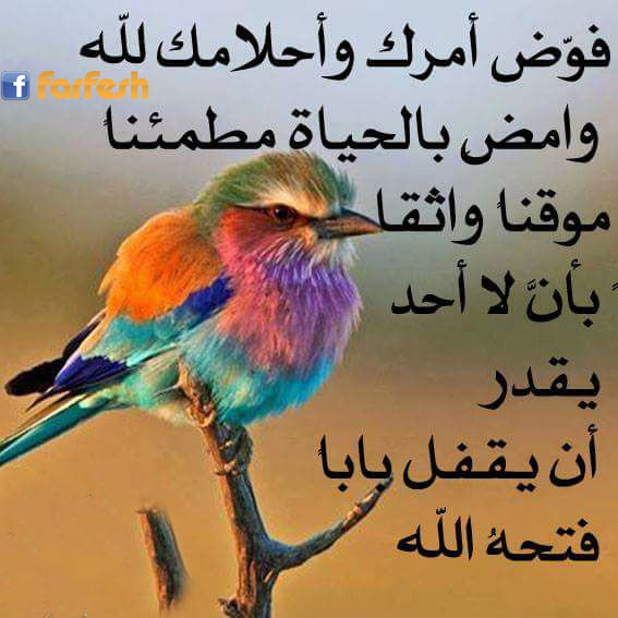 ���� ���� ������� ���