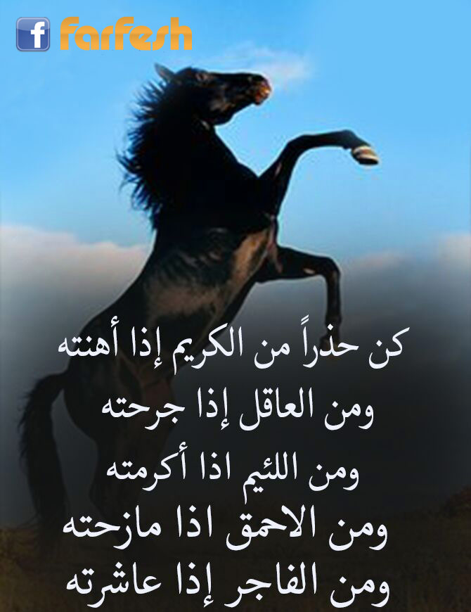 �� ���� �� ������!! 