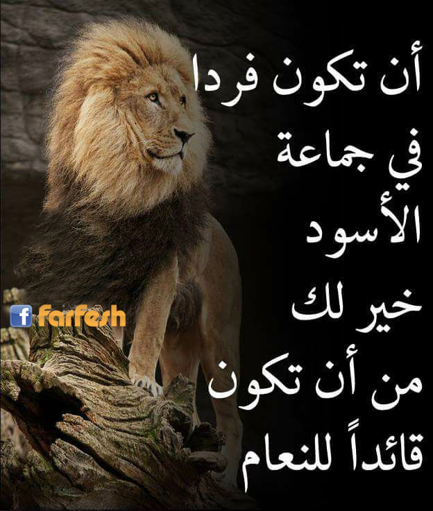 �� ���� ���� �� ����� ������ ��� �� �� �� ���� ���� ������