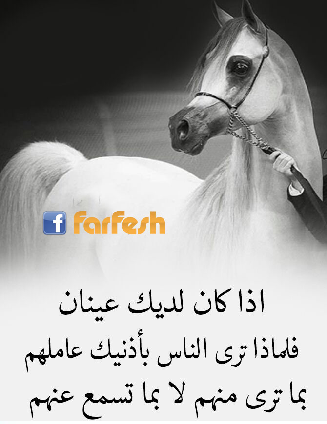 ��� ��� ���� ����� ������ ��� ����� ������