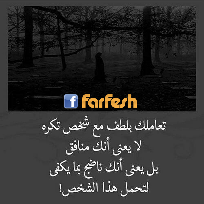 ������ 100%