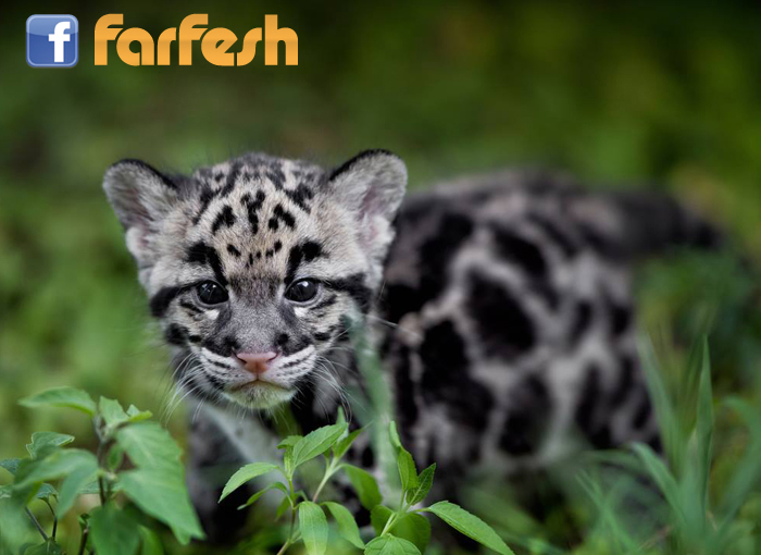 �� ������...