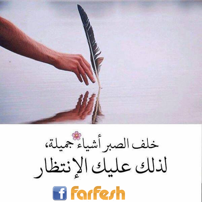 ��� ����� ����� ����� ���� .. ���� ������