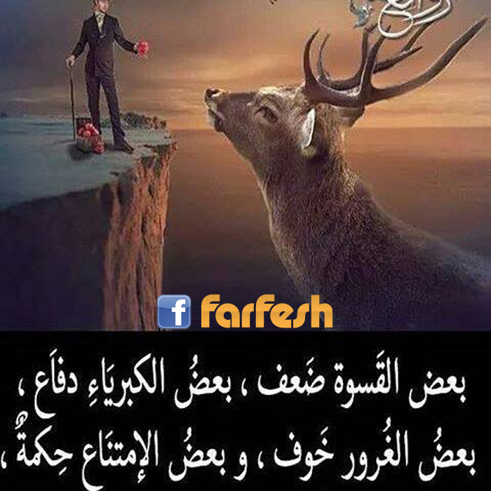 ���� .. ��� �������� ����