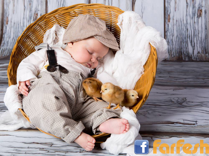 ����� �����