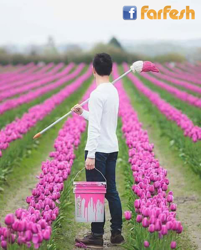 ���� ���� ����� ������ ������ ��� ������ �������� ������ .