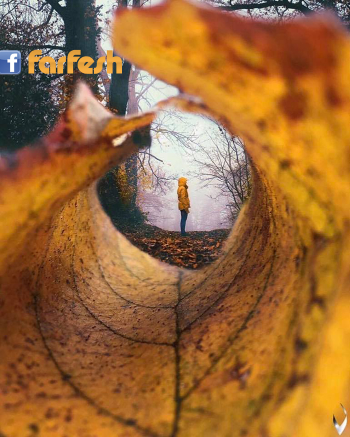 ��� ��� ����� ������� � ��� ����� ������ ����� ������� �� ��� ������� ��������