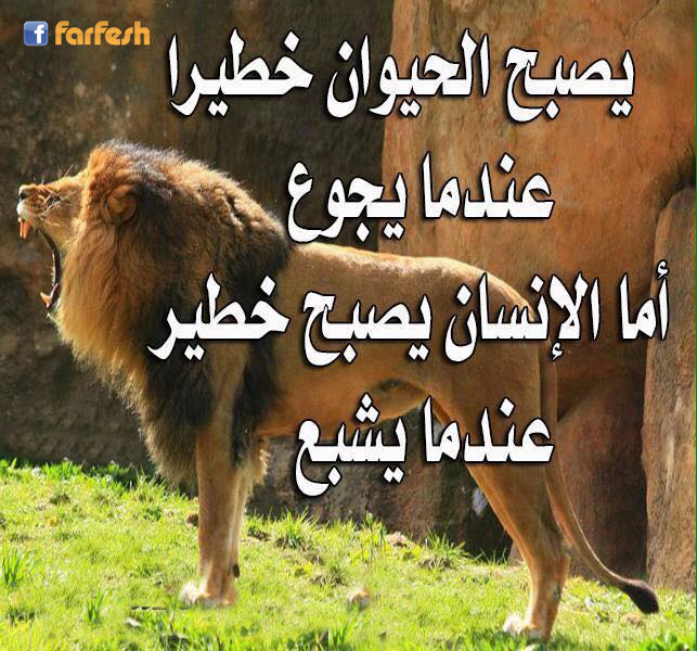 �������� ���� ���� ����� ����