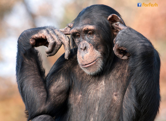 �� ���� .. �� ���.. �� �����