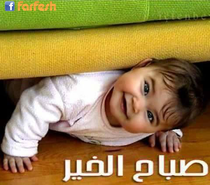 ���� �����