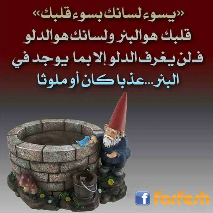 ���� ����� ���� ����