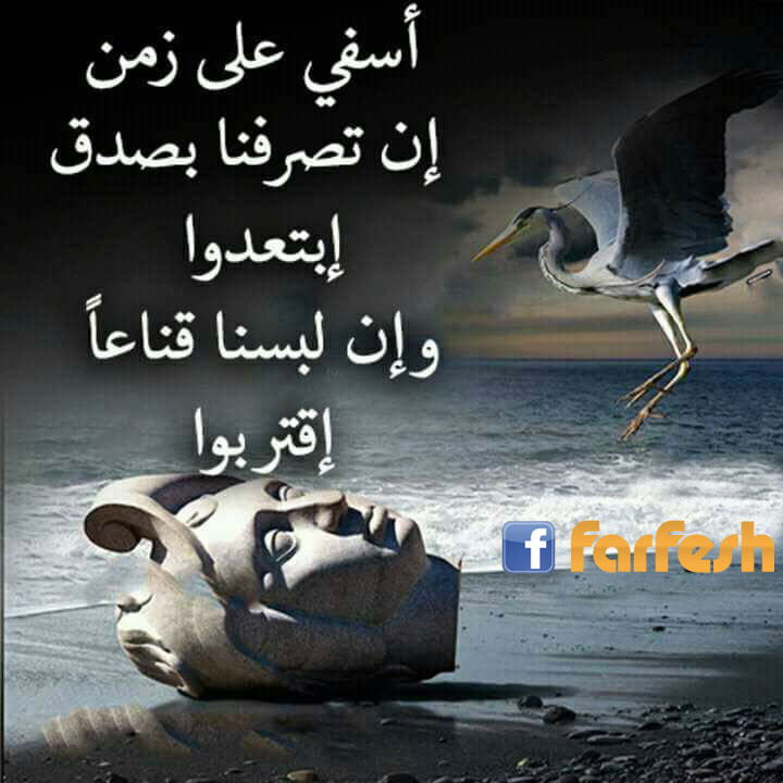 ���� ��� ��� �� ������ ���� �������