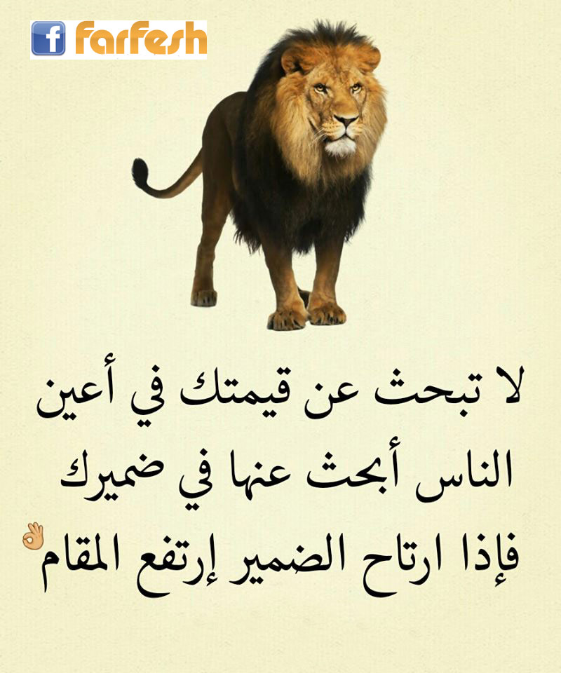 �� ���� �� ����� �� ���� �����