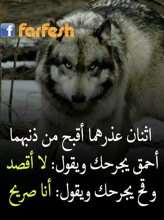 ����� ������ ���� �� ������