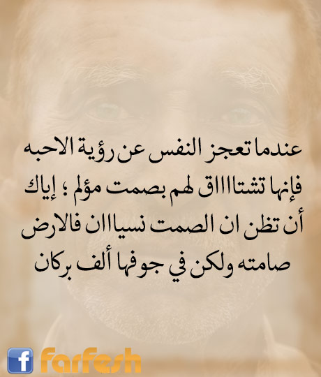 ���� �������