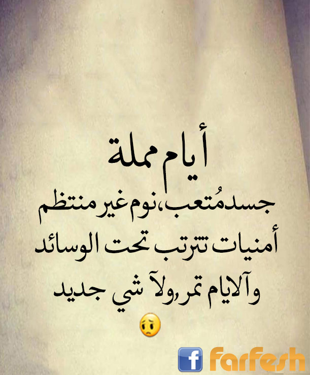 ���� ����