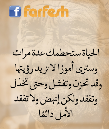 �� ���� �����