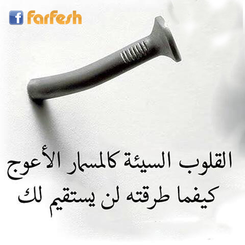 ������ ������ ������� ������