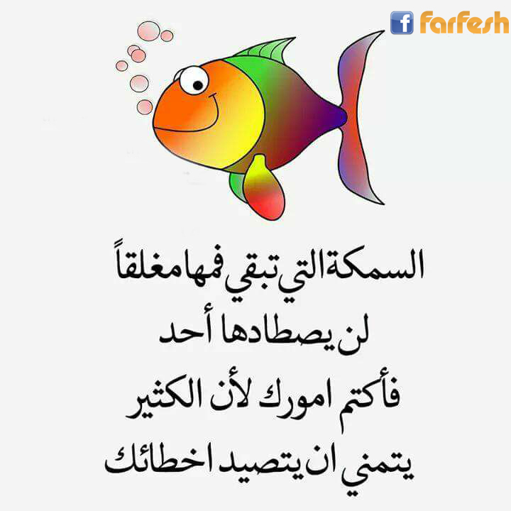 �� ���� �����