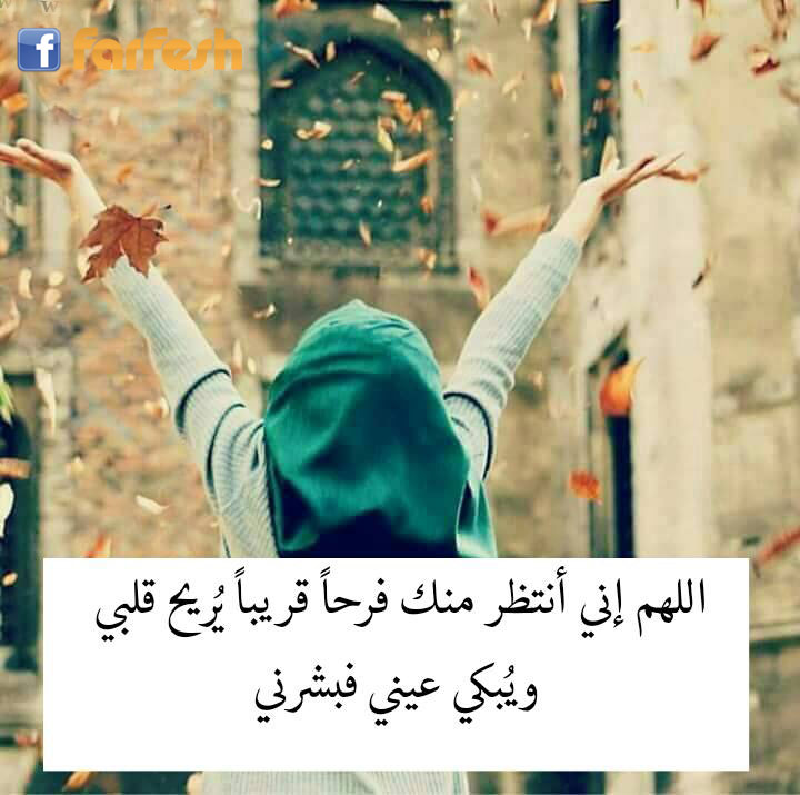 ������ �� ���� ��������