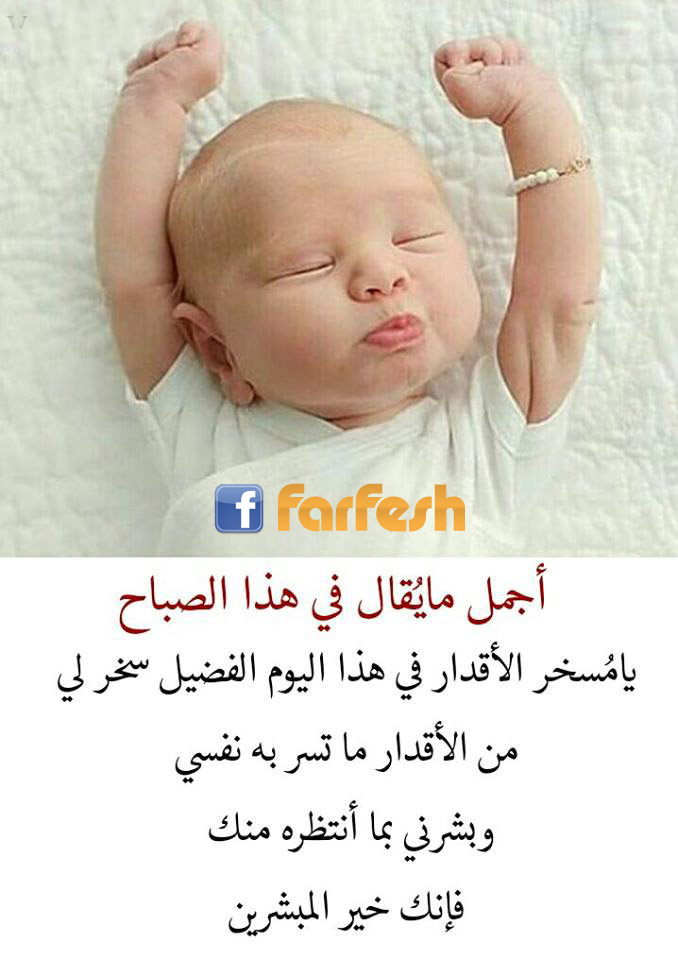 ���� �� ���� ��� ������