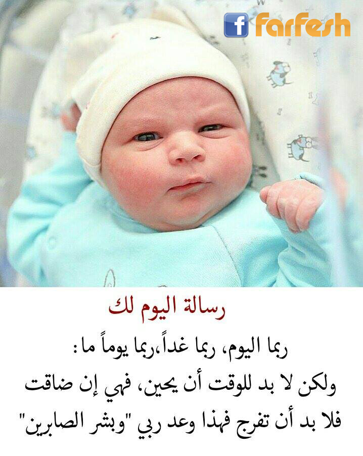 ������ ����� ����