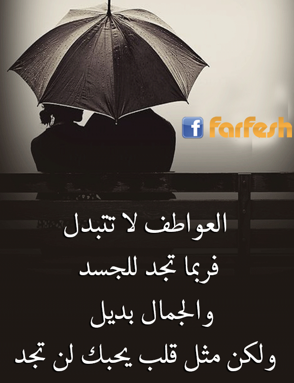 ���� ���� ������� �� ������ �� �����