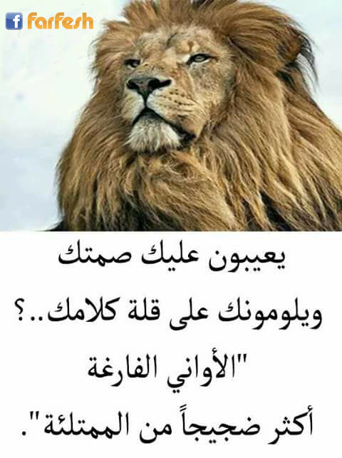 ������� ������� ���� ����� �� ��������