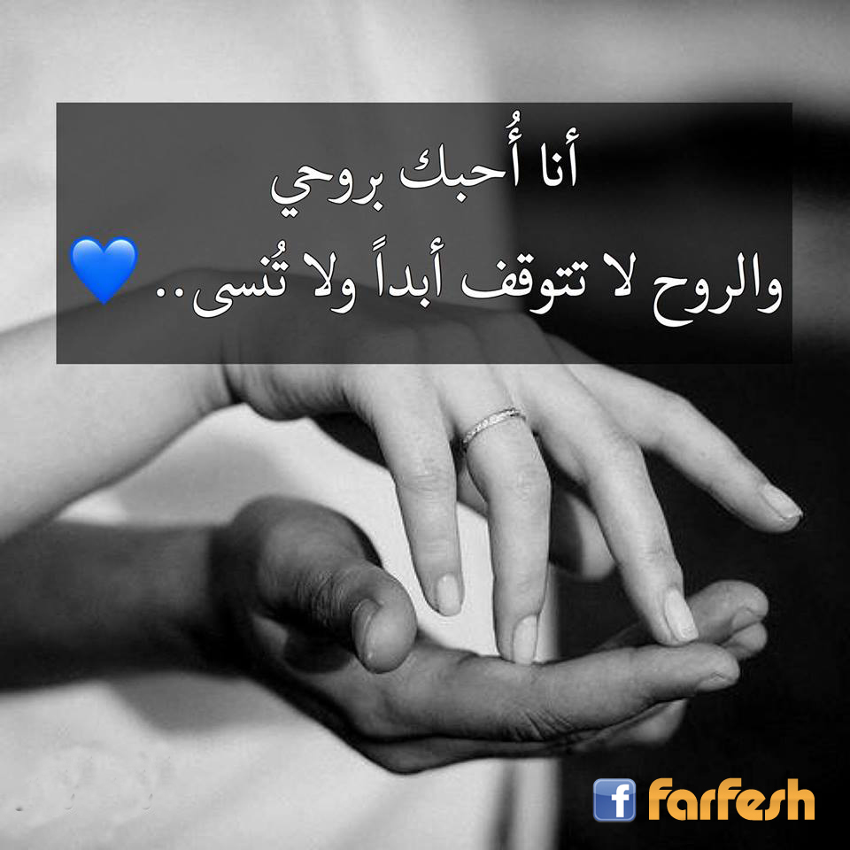 ��� ����� �����