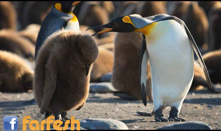 ����� ��� ���� ������ ������ ��� �� ����� ����� �����.