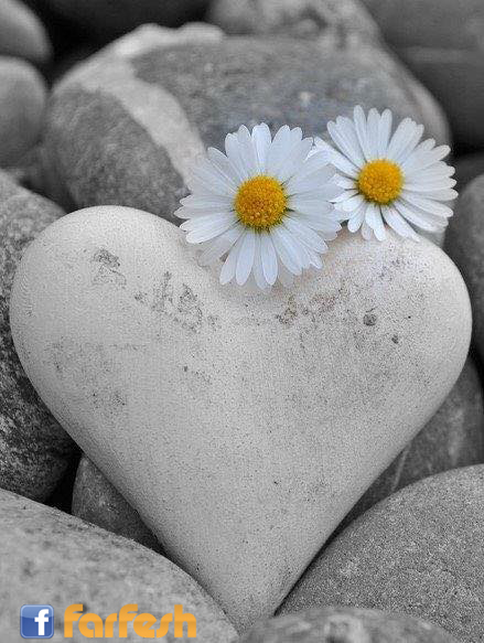 �� ��� ����� ���� ������� �� ������� �����.