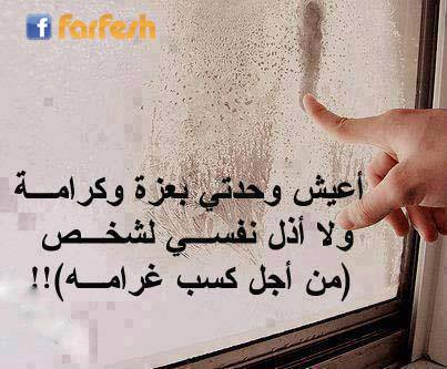 ��� ������ ������