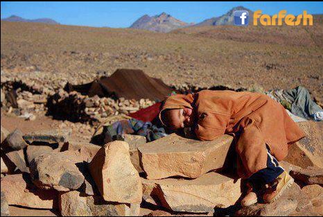 ����� ���� ����� ���� ����� �� �����