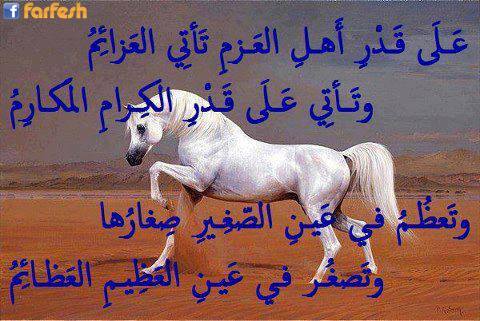 ���� ����