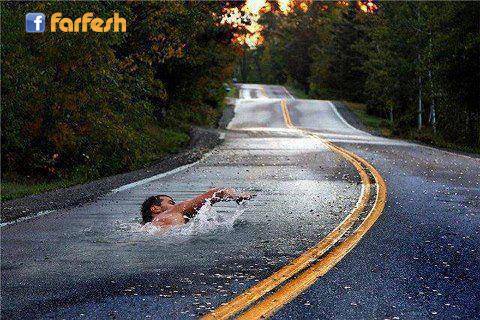 ���� ���� �������