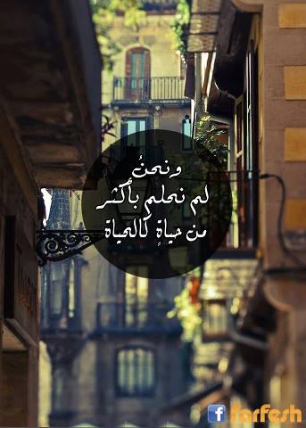 ���� ����� �����