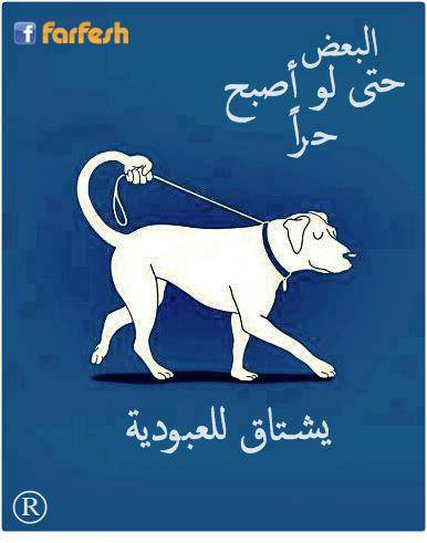 ���� �� ������� ������