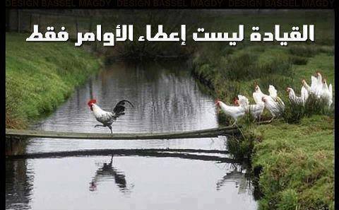 ���� ����� �� �����...