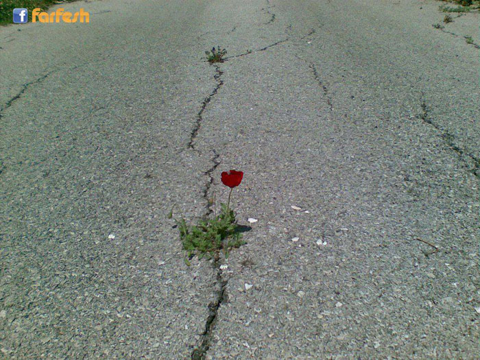 ��� ���� ���� �� ���� .