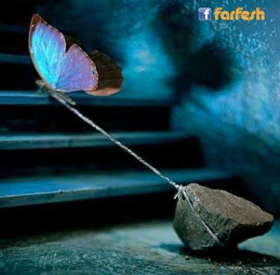 �� �����