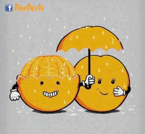 ���� ����� ����