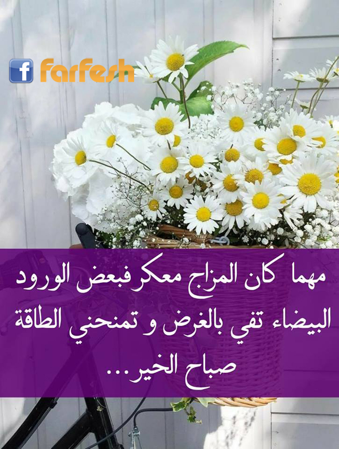 ����  ��� ������ ���� ������� ������� ��� �������� ���������