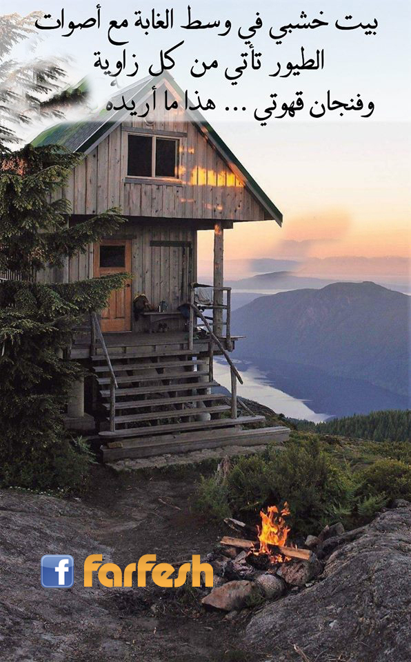 ����� ���� �� �����