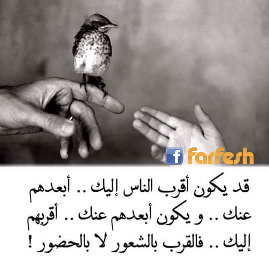 ����� �� ������� �� �������