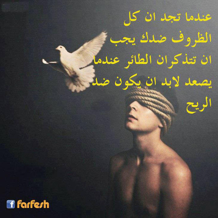 ����� � ��� ���� ��