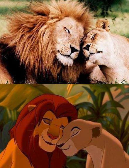 ���� ������ ���� ����..