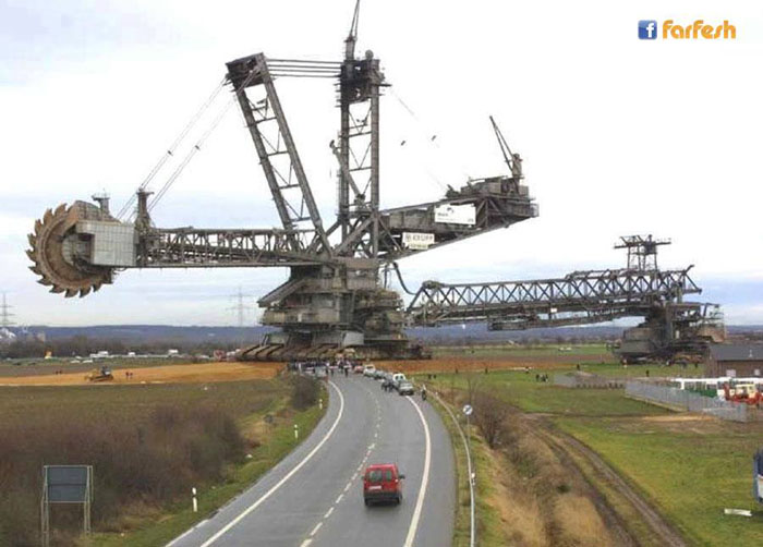 ���� ������ ��� �� ������