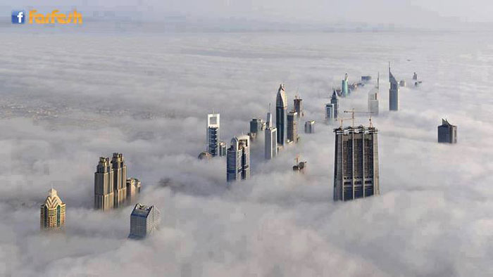 ���� ������ �� ��� ����� �� ��� ��������